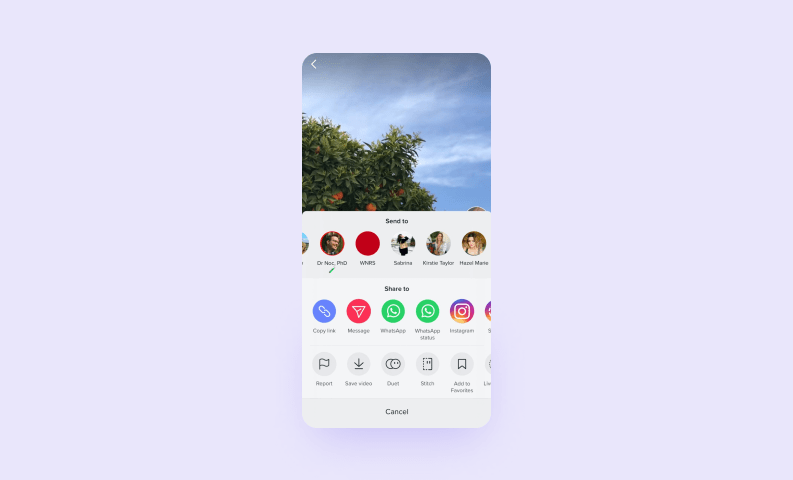 Как создать социальную сеть — TikTok
